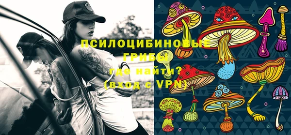 гашиш Бородино