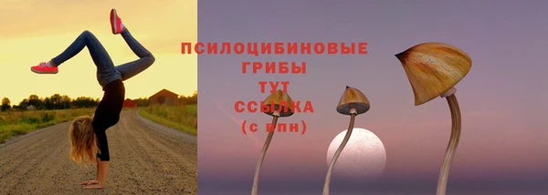 ПСИЛОЦИБИНОВЫЕ ГРИБЫ Бронницы