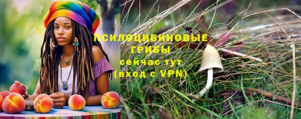 гашиш Бородино