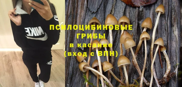 ПСИЛОЦИБИНОВЫЕ ГРИБЫ Бронницы