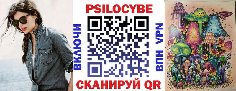 Купить закладки Кимовск Галлюциногенные грибы Cubensis
